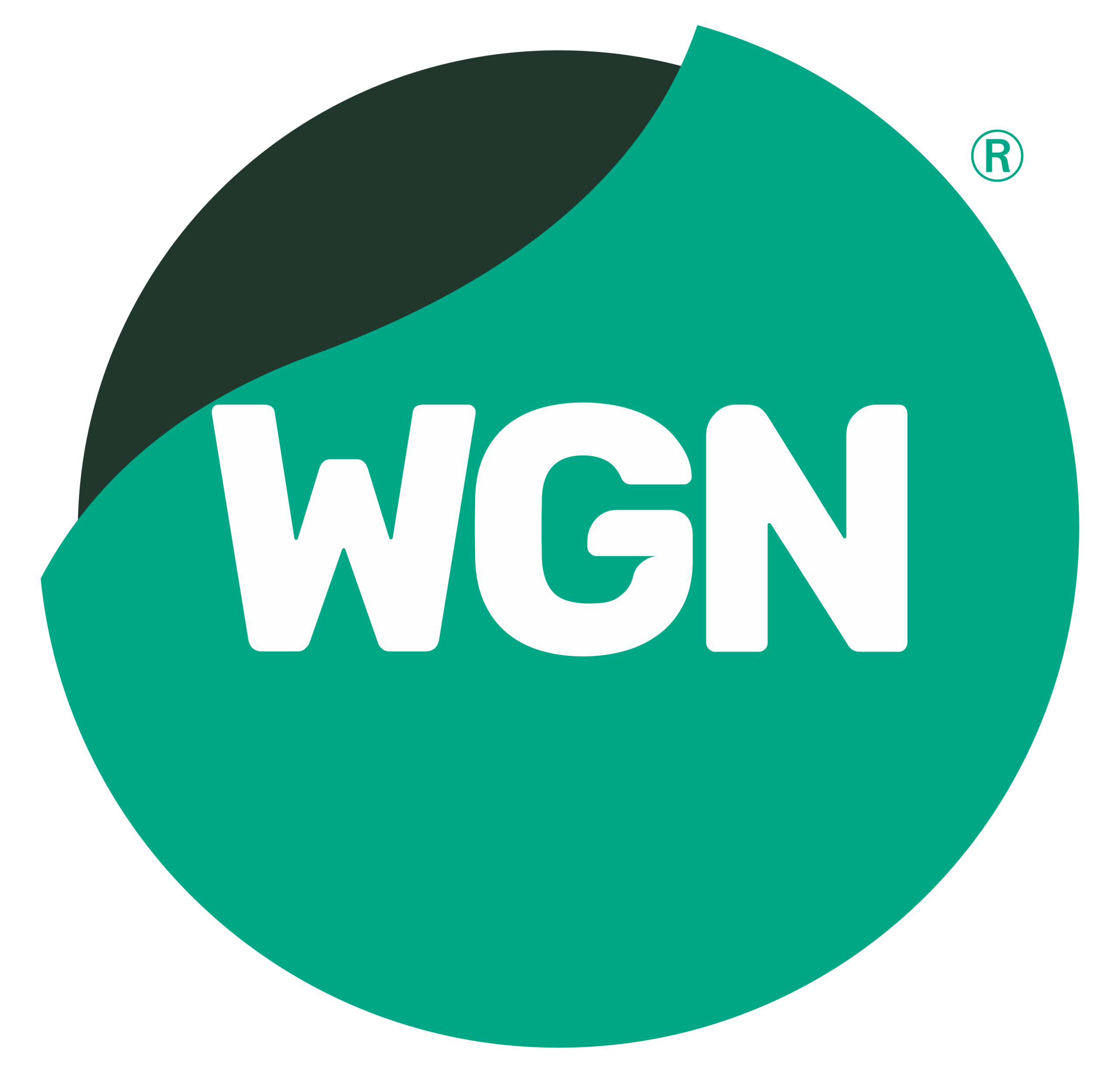 WGN Company